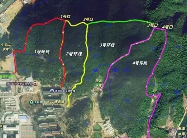 「浙江の大学がカリキュラムに「ジャングルクロッシング」導入―中国」の画像