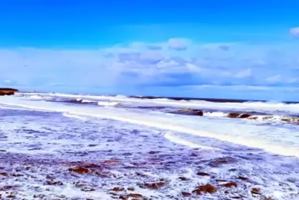 「日本が再び核汚染水を海に放出」中国SNSで1位に＝「敵国条項を適用！」「無知な人が多い」