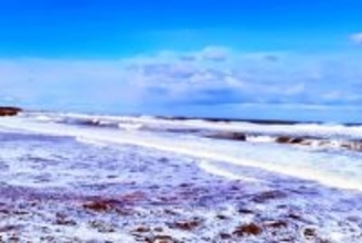 「日本が再び核汚染水を海に放出」中国SNSで1位に＝「敵国条項を適用！」「無知な人が多い」