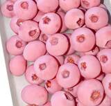 「ピンク色のブルーベリー、1キロ約2万円―中国」の画像1