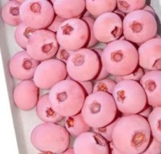 ピンク色のブルーベリー、1キロ約2万円―中国