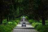 「北京の公園でロボットが「勤務」開始―中国」の画像1