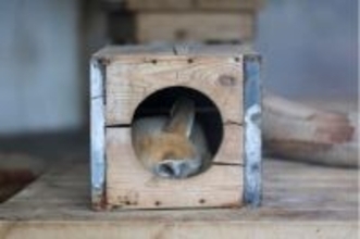 上海動物園、動物が暖かく冬を越せるよう対策強化―中国