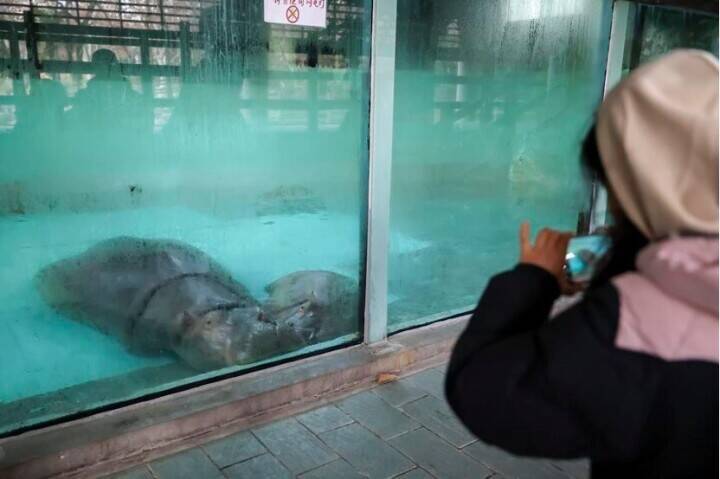 上海動物園、動物が暖かく冬を越せるよう対策強化―中国
