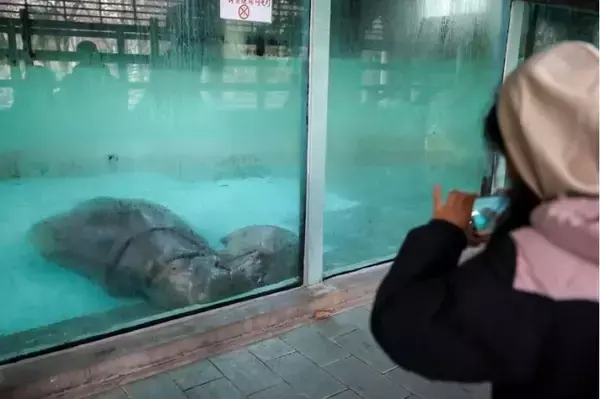 「上海動物園、動物が暖かく冬を越せるよう対策強化―中国」の画像