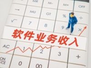 1-2月のソフトウェア業務の売上は前年同期比11．7％増―中国