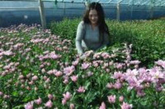 中国、6分野のリサーチフロント活況度指数が世界1位に