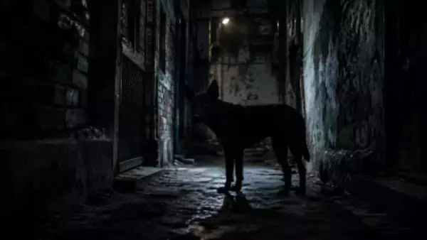 「叱られる…」犬にかまれたことを黙っていた11歳女児、狂犬病を発症し死亡―中国