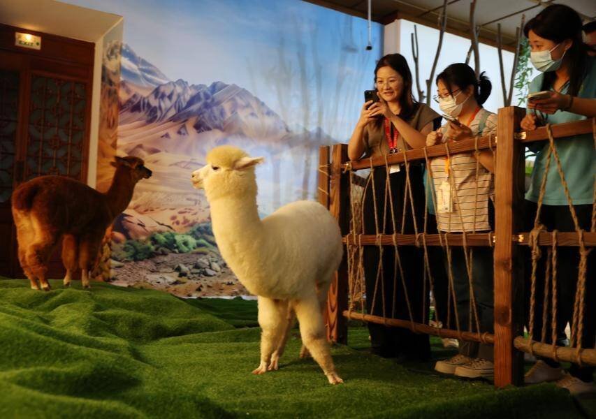 中国各地の博物館が続々と没入型ナイトツアー打ち出す