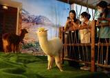 「中国各地の博物館が続々と没入型ナイトツアー打ち出す」の画像2