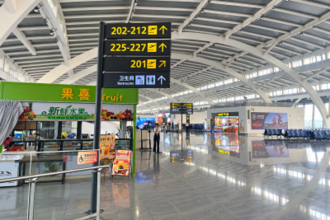 「息子がトイレに行ったため飛行機に乗り遅れた」、航空会社を訴えた男性の敗訴確定―中国