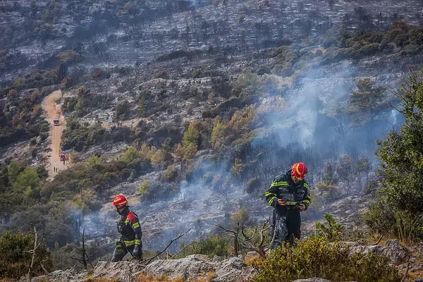 クロアチア第3の島、山火事で1割超が焼失