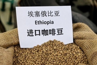 中国の無関税措置でアフリカ53カ国の約9000品目が恩恵―中国メディア