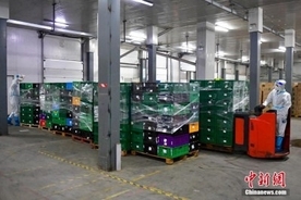 臨時倉庫から配達員まで、物資配送渋滞箇所の輸送力アップに尽力―上海市