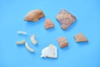 山西省陽泉で仰韶文化遺跡を発見、今から5000年ほど前―中国