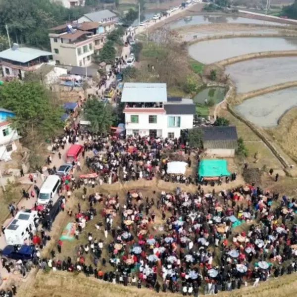 「ブタ2頭の食肉処理を手伝って」＝女性の呼び掛けで1000人押し寄せる―中国