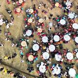 「「ブタ2頭の食肉処理を手伝って」＝女性の呼び掛けで1000人押し寄せる―中国」の画像4