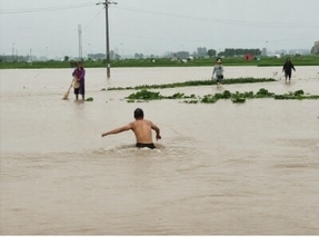 ヘビにかまれた女性が死亡、洪水で約900匹逃げ出す―広西チワン族自治区