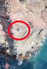 「中日関係が良くなくても、人命救助に国境はない」―在日中国人団体が交流会開催、日本で人命救助の楊波氏も出席