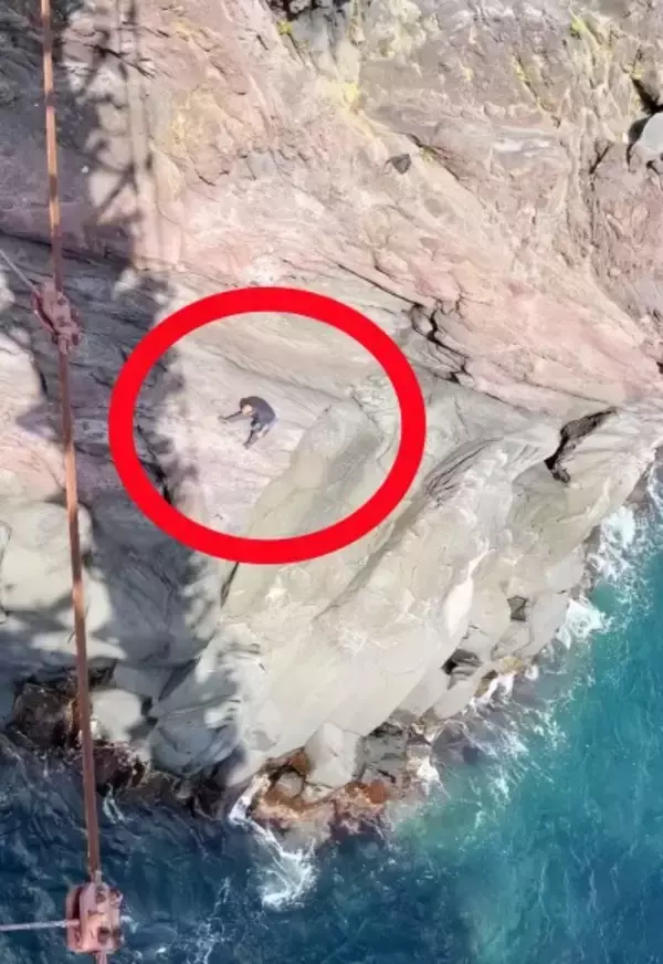 「中日関係が良くなくても、人命救助に国境はない」―在日中国人団体が交流会開催、日本で人命救助の楊波氏も出席