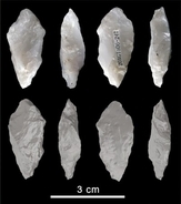 16万年前の「中国製」に世界の科学者が困惑―米メディア
