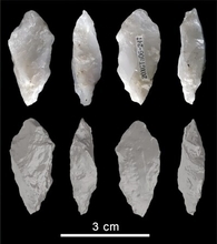16万年前の「中国製」に世界の科学者が困惑―米メディア