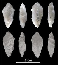 16万年前の「中国製」に世界の科学者が困惑―米メディア