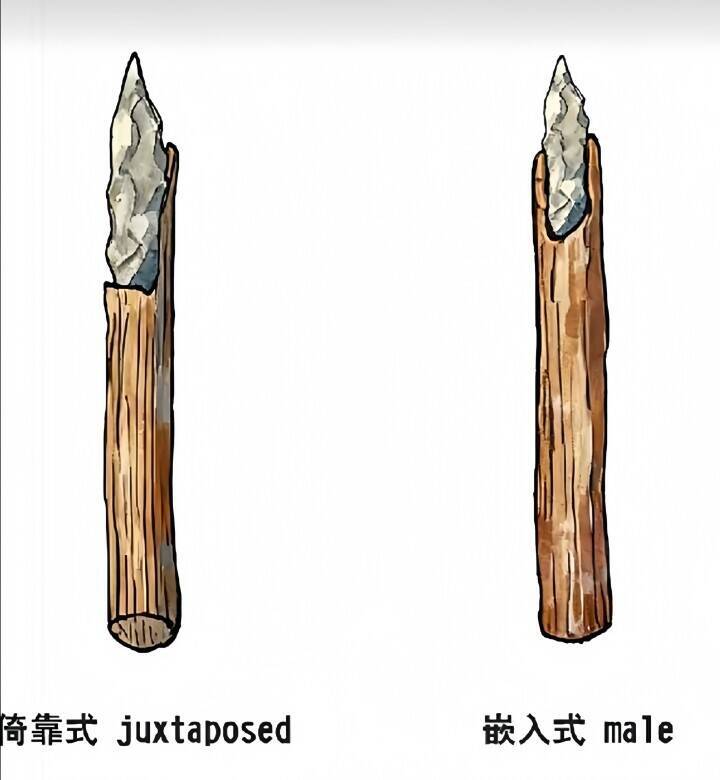 16万年前の「中国製」に世界の科学者が困惑―米メディア