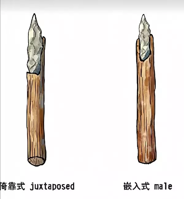 「16万年前の「中国製」に世界の科学者が困惑―米メディア」の画像