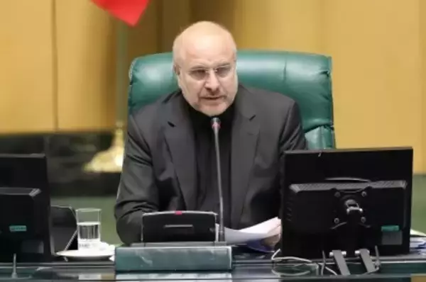 イラン国会議長、外交・軍事両面での対抗準備を表明