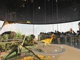 「8大展示ホールに標本7461点、華南エリア最大の自然博物館が深センでオープン―中国」の画像2