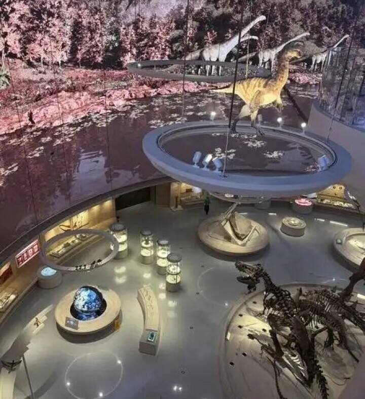 8大展示ホールに標本7461点、華南エリア最大の自然博物館が深センでオープン―中国