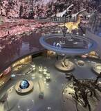 「8大展示ホールに標本7461点、華南エリア最大の自然博物館が深センでオープン―中国」の画像3