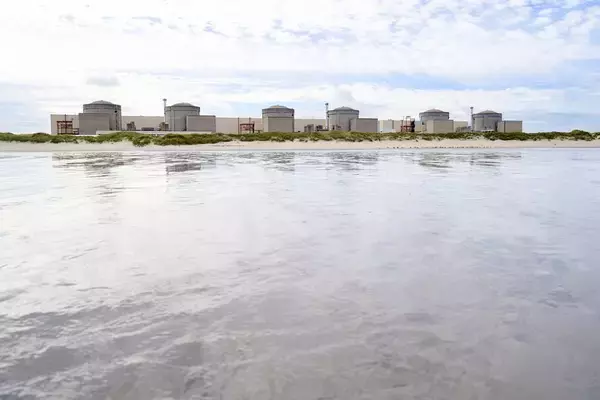 仏グラブリーヌ原発、大量のクラゲ「侵入」で原子炉3基停止