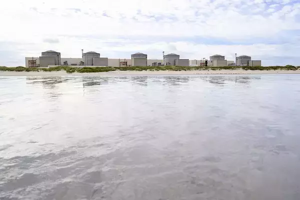 200トン超のクラゲが押し寄せる フランス最大の原発が一部停止