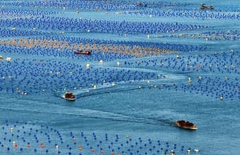 中国の海洋生産総額、2030年に13兆元を突破する見込み