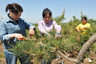 中国経済は通年5％前後の成長率目標達成へ順調に推移―KPMG報告書