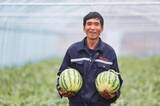 「広西・賀州、「オフシーズンスイカ」で春節市場狙う―中国」の画像1