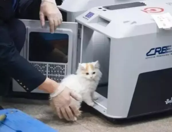 中国の高速鉄道、ペットのお預かりサービスが最適化