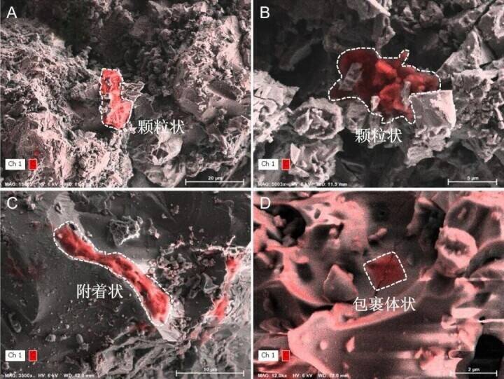 月サンプルの「タイムカプセル」から太陽系有機物の進化史を解明―中国
