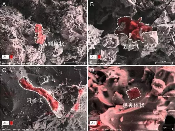 「月サンプルの「タイムカプセル」から太陽系有機物の進化史を解明―中国」の画像