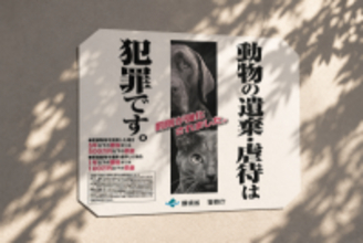 日本の「動物愛護管理法」に中国ネットで称賛＝「いい国だね」「中国でも法整備を」