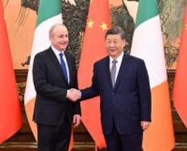 習近平主席、アイルランドのマーティン首相と会談―中国