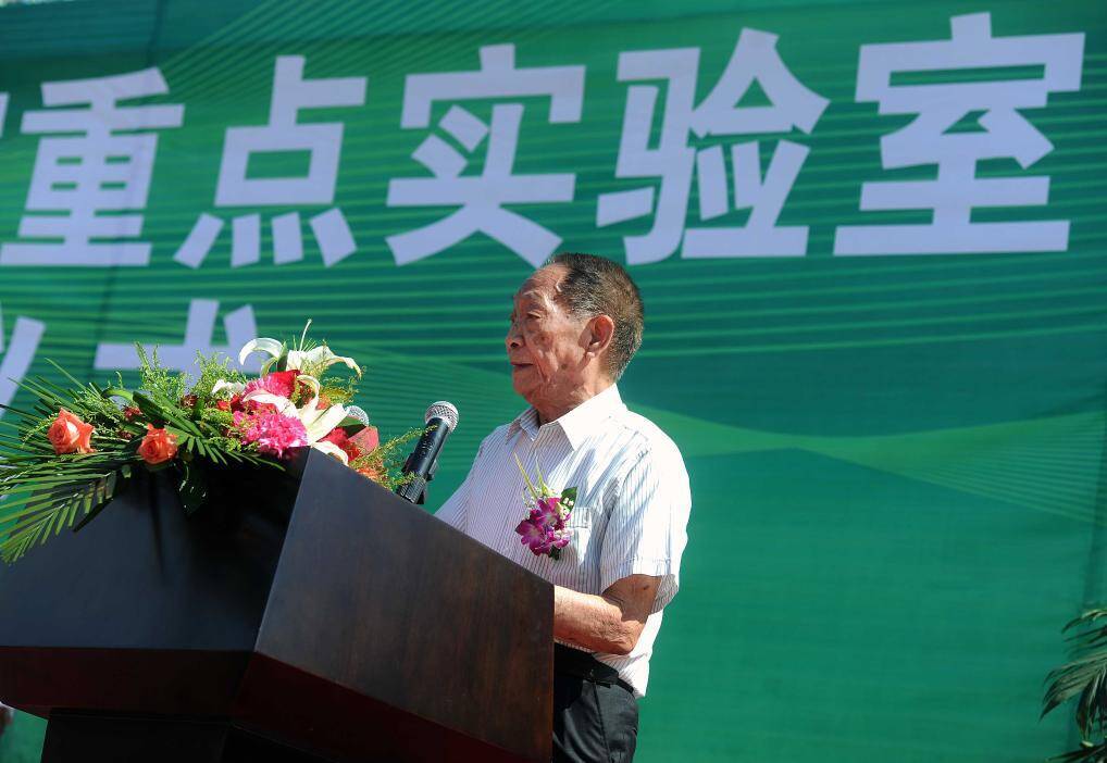 ハイブリッド米の父・袁隆平氏が創設した実験室でイネがさらに成長―中国