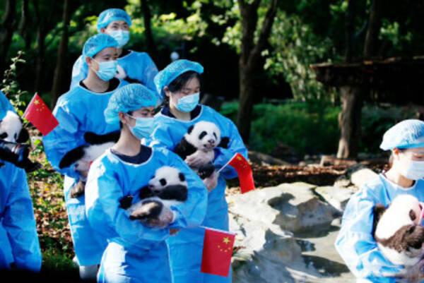 Lbrvctd5zgtntm Lbrvctd5zgtntm