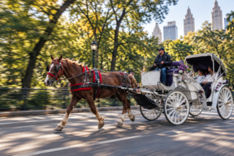 NYセントラ―ルパークの馬車が160年の歴史に幕か―マレーシア華字メディア