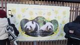 「日本人が目に涙を浮かべながらパンダにお別れ―中国メディア」の画像2