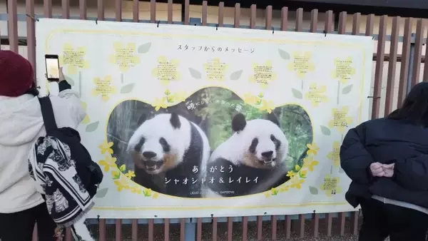 「日本人が目に涙を浮かべながらパンダにお別れ―中国メディア」の画像