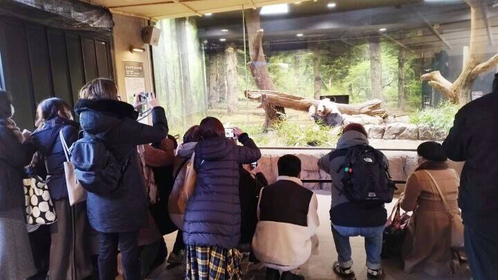 日本人が目に涙を浮かべながらパンダにお別れ―中国メディア