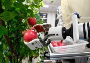 「双子」ロボットが平均7．5秒でリンゴ1個を収穫―中国